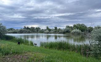 Emilie V.'s photo of camping with pets at Far West Fishing Access Site near Colstrip, MT