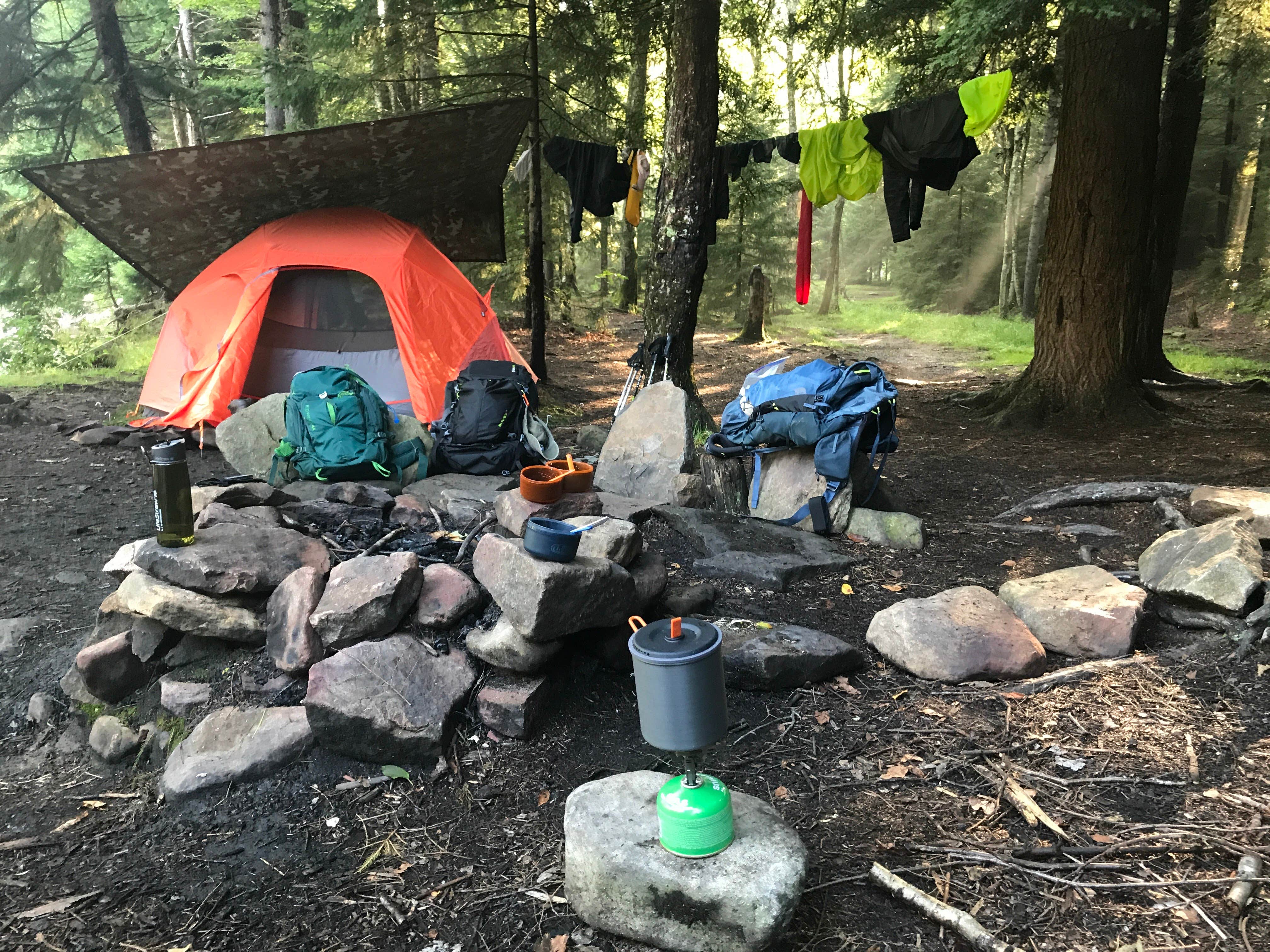 Camper submitted image from Dolly Sods Backcountry - 5