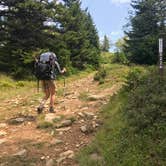 Review photo of Dolly Sods Backcountry by Hannah V., October 18, 2018