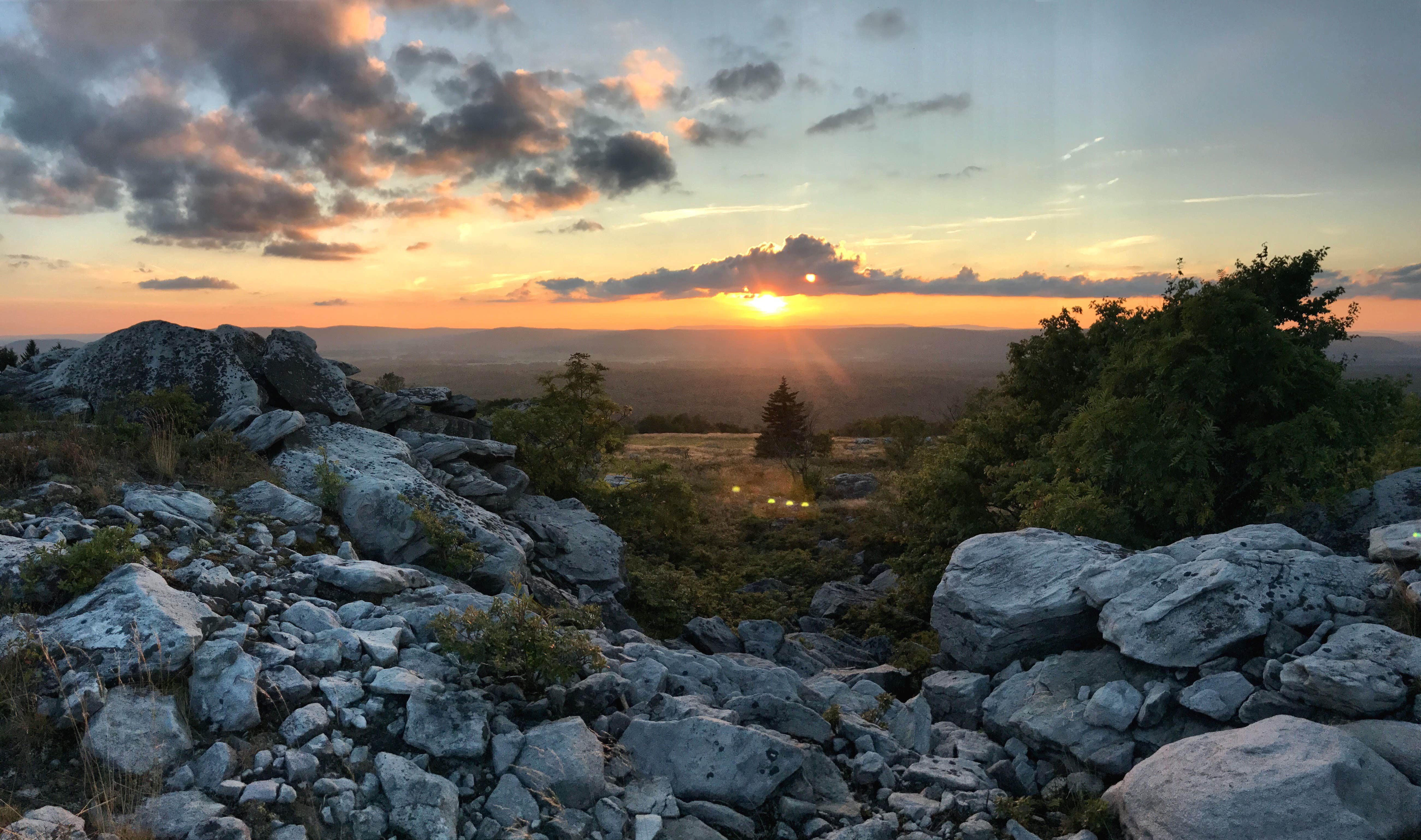 Camper-submitted photo at Dolly Sods Backcountry near Masontown, WV