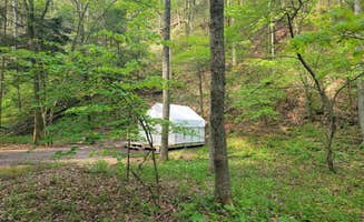 The Dyrt's photo at Tentrr State Park Site - Big Run State Park - Site B near Bloomington, MD