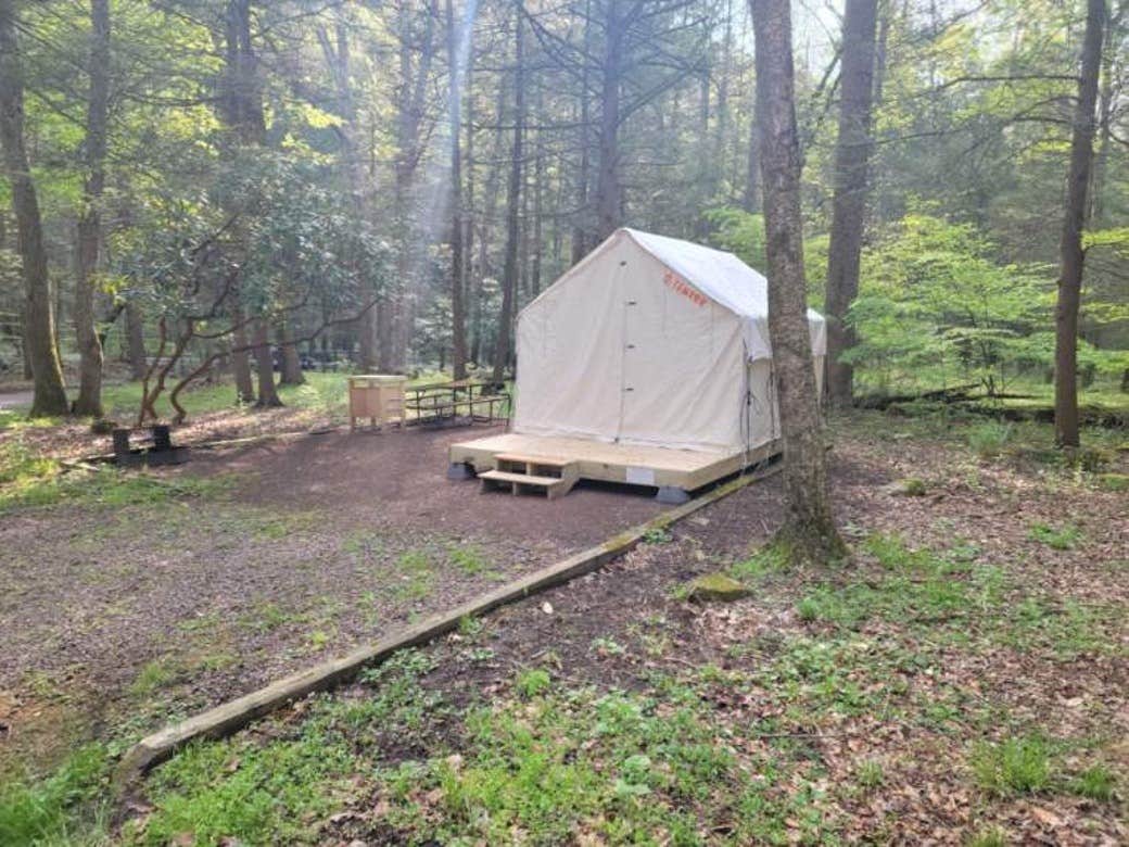 The Dyrt's photo at Tentrr State Park Site - Big Run State Park - Site B near Bloomington, MD