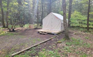 The Dyrt's photo at Tentrr State Park Site - Big Run State Park - Site B near Burlington, WV