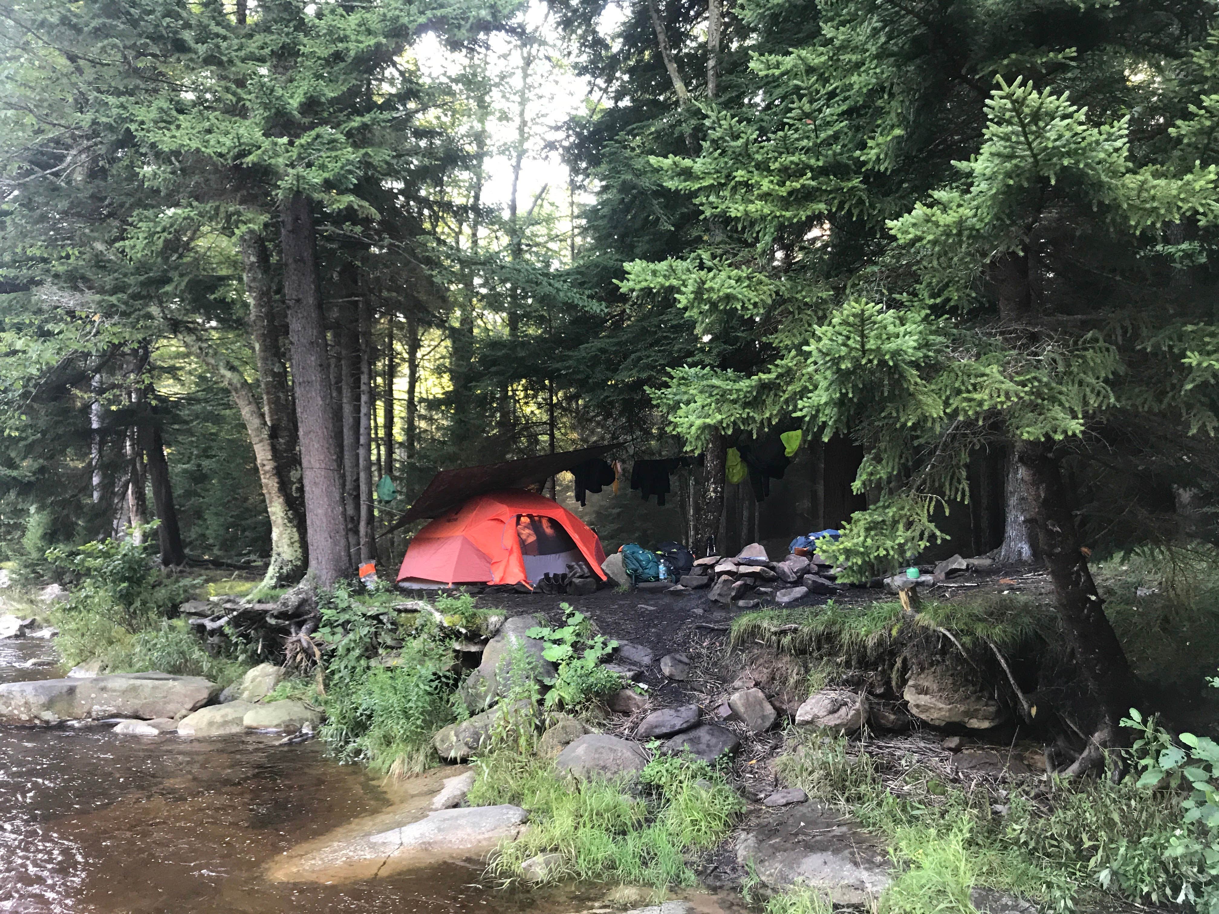 Camper submitted image from Dolly Sods Backcountry - 4