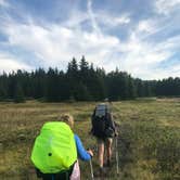 Review photo of Dolly Sods Backcountry by Hannah V., October 18, 2018