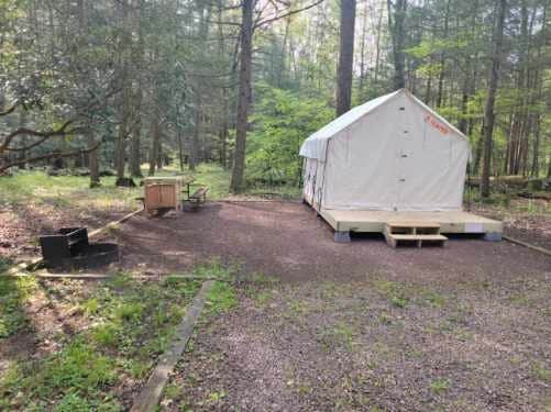 The Dyrt's photo at Tentrr State Park Site - Big Run State Park - Site E near Meyersdale, PA