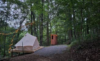 Olivia H.'s photo at The Farmers Forest near Clinton, TN