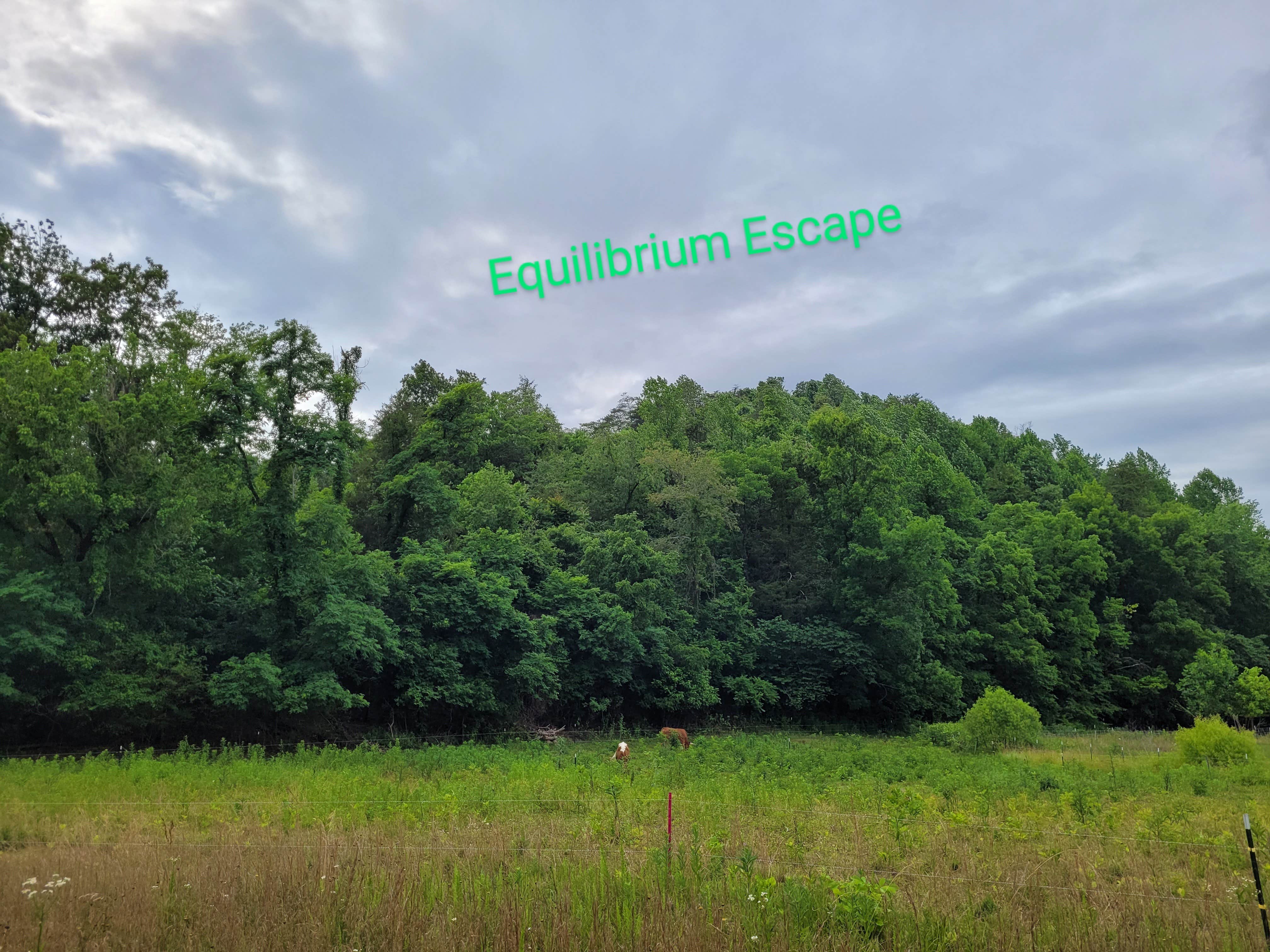 Camper-submitted photo at The Farmers Forest near Maynardville, TN