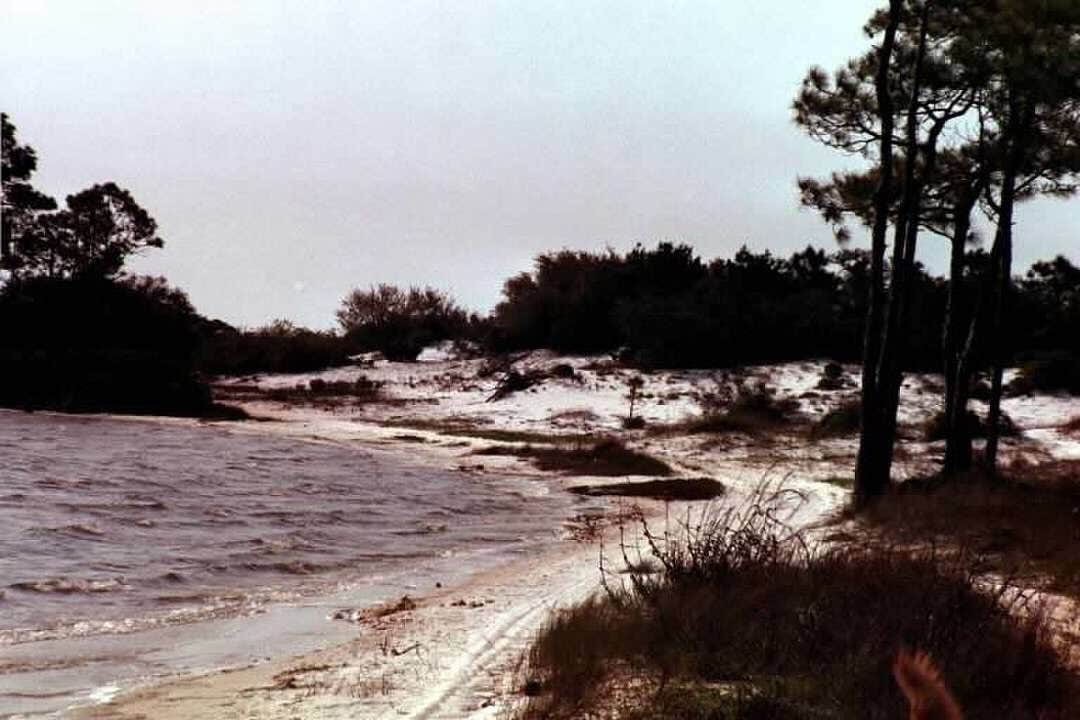 Bay Breeze RV Park The Dyrt