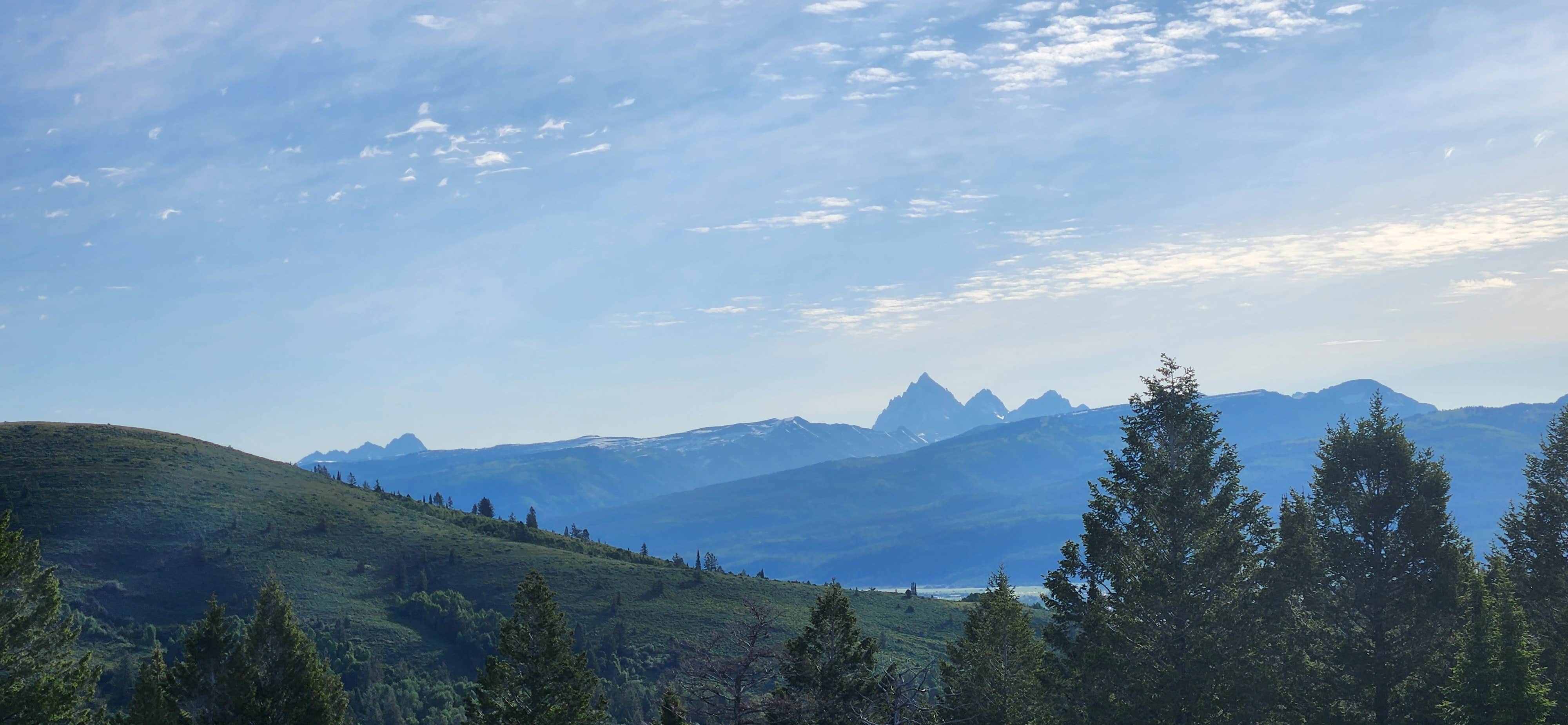 Camper submitted image from Pine Creek Pass Dispersed Camping - 3