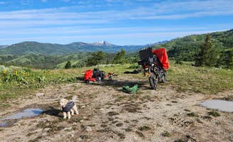 dylan B.'s photo of camping with pets at Pine Creek Pass Dispersed Camping near Victor, ID