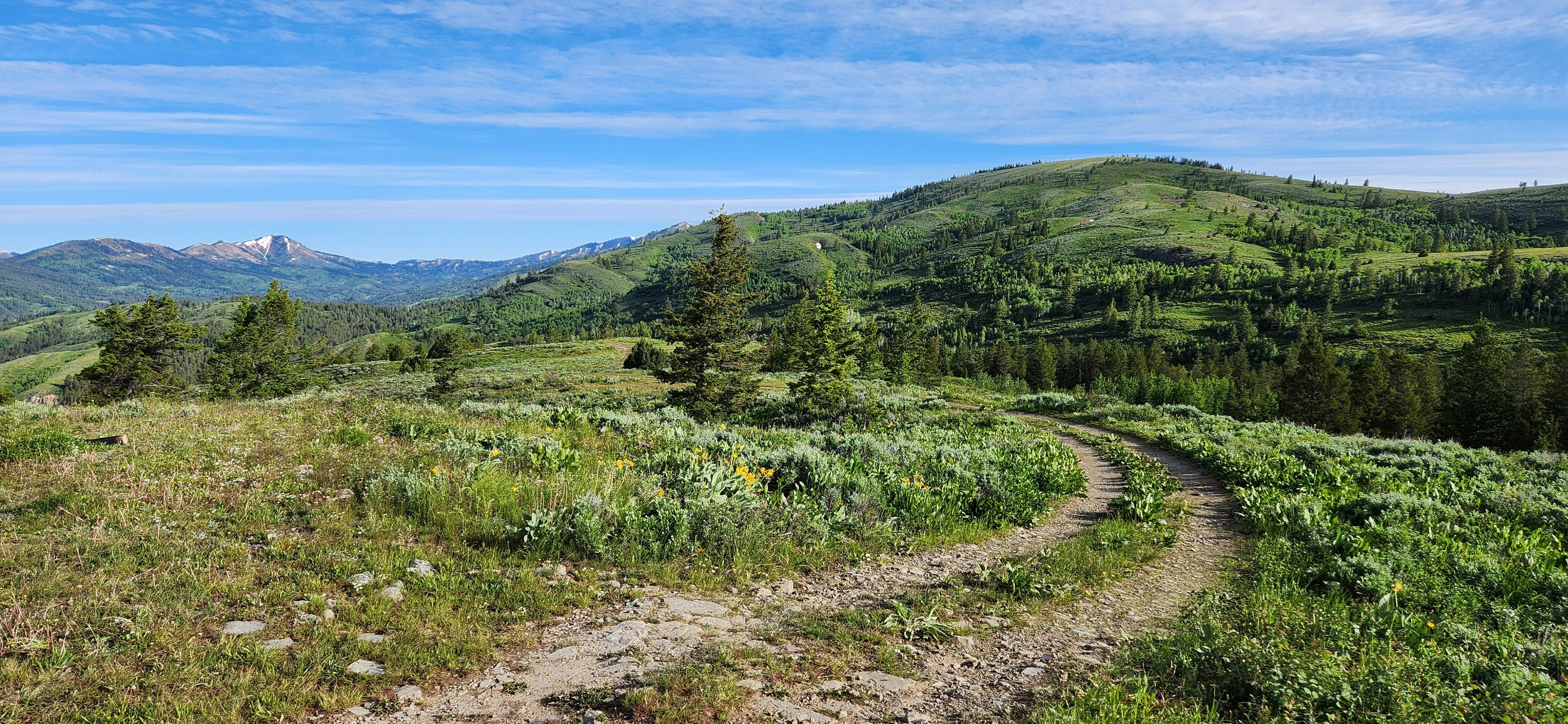 Camper submitted image from Pine Creek Pass Dispersed Camping - 4