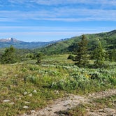 Review photo of Pine Creek Pass Dispersed Camping by dylan B., June 22, 2023