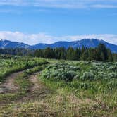 Review photo of Pine Creek Pass Dispersed Camping by dylan B., June 22, 2023