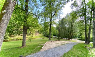 Camping near Paddy's Creek — Lake James State Park: Rose Creek Retreat, Linville, North Carolina