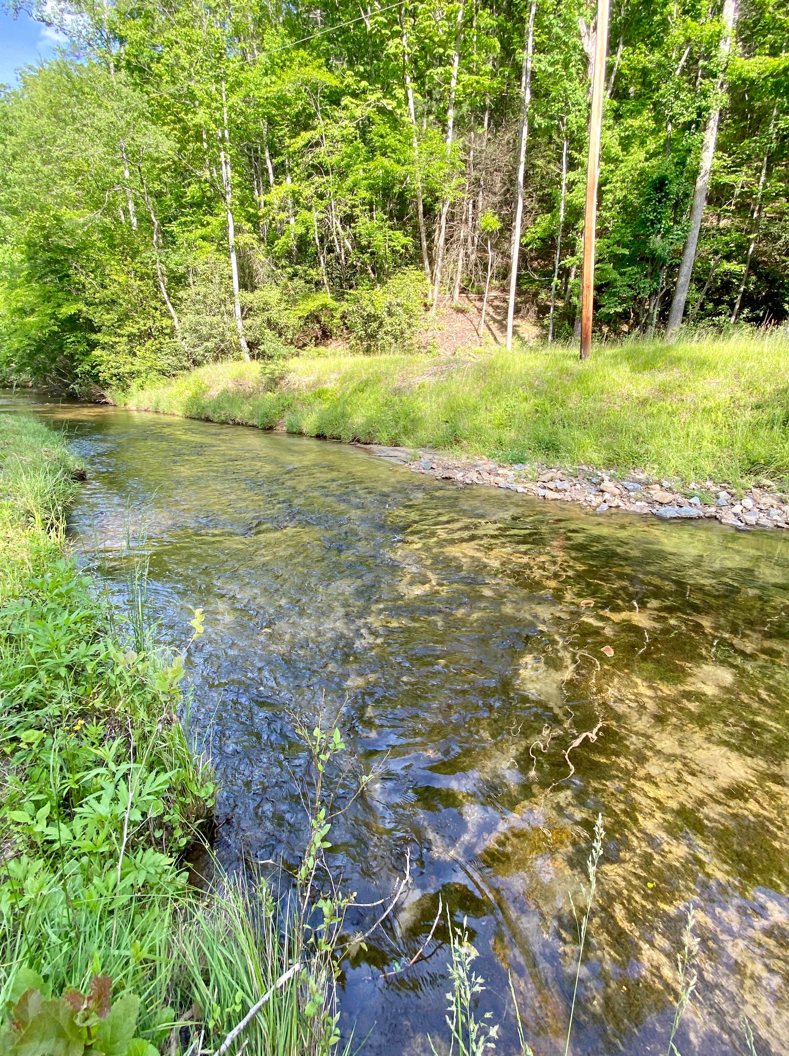 Camper-submitted photo at Rose Creek Retreat near Fleetwood, NC