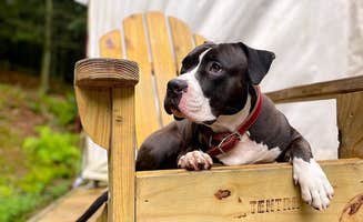 The Dyrt's photo of camping with pets at Tentrr State Park Site - Nebraska Ponca State Park ___ River Vista F ___ Single Camp near Sioux City, IA