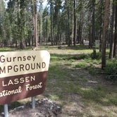 Review photo of Gurnsey Creek by Tyler D., June 22, 2023