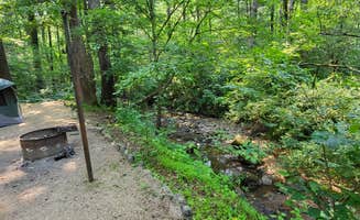 Imke R.'s photo at Deerfield Campground — Promised Land State Park near Paupack, PA