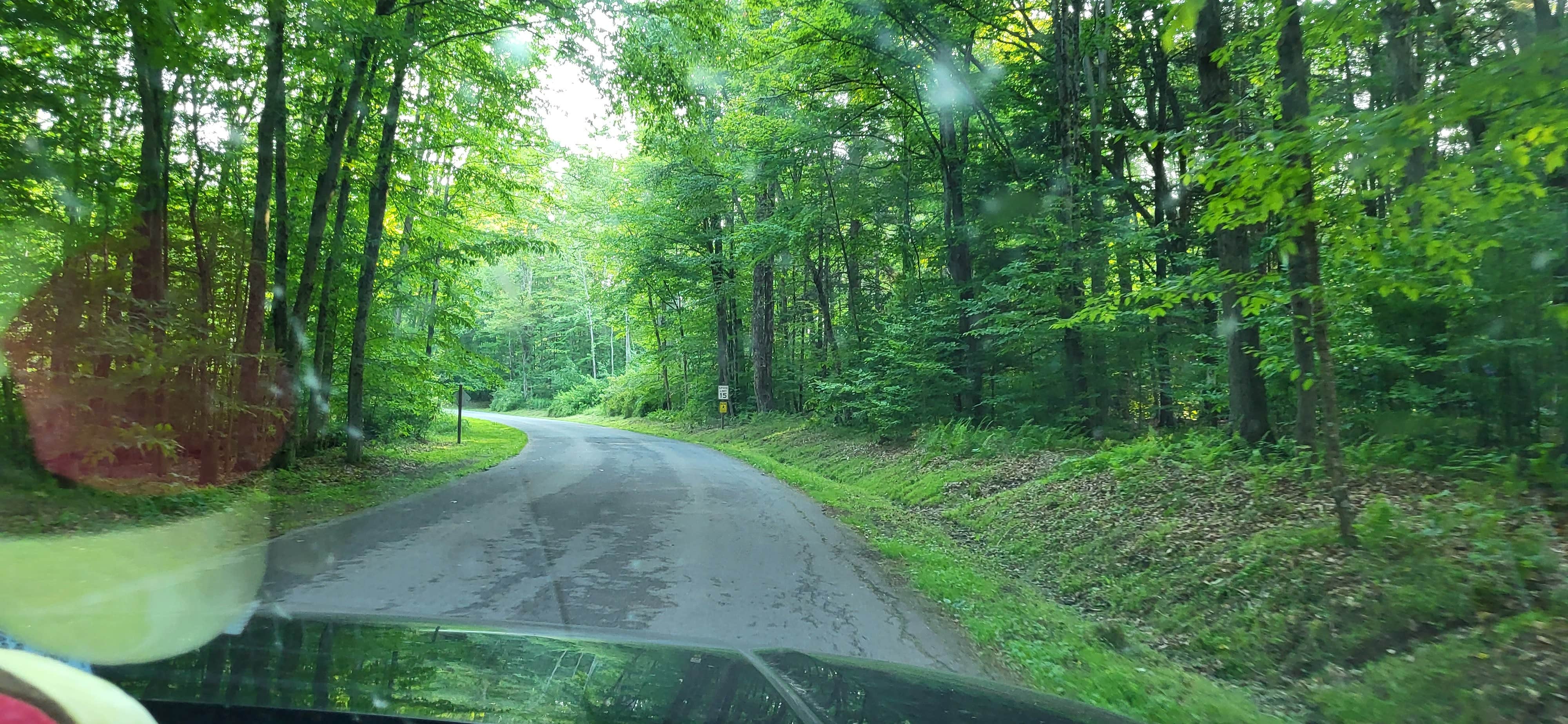 Camper submitted image from Deerfield Campground — Promised Land State Park - 2