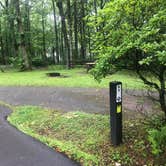 Review photo of Doughton Park Campground — Blue Ridge Parkway by Roger W., June 22, 2023