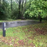 Review photo of Doughton Park Campground — Blue Ridge Parkway by Roger W., June 22, 2023