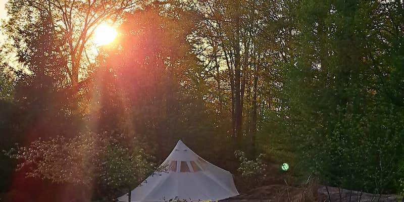 Camper submitted image from Roots and wings homestead