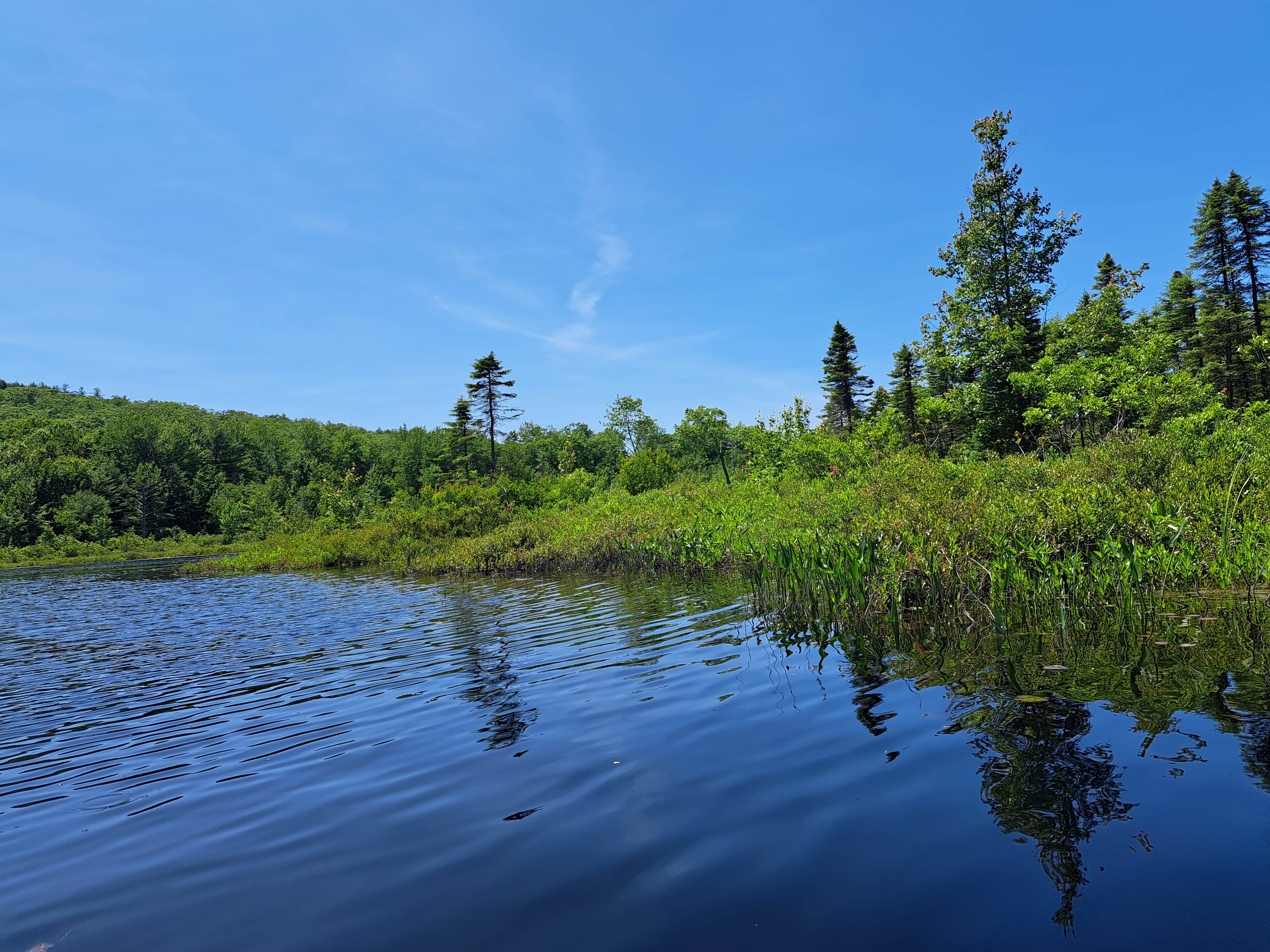 Camper-submitted photo at Roots and wings homestead near Barrington, NH