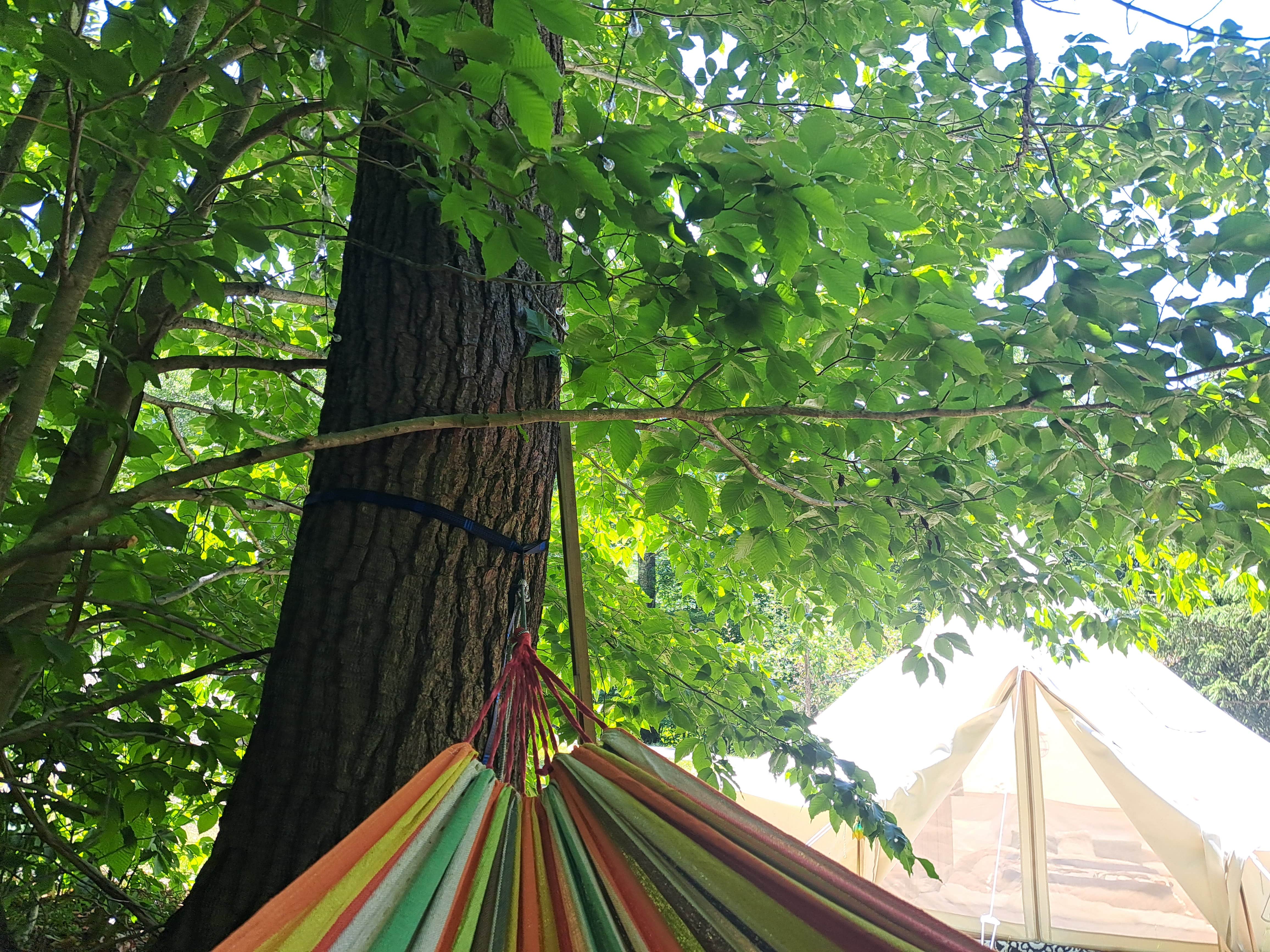 Camper-submitted photo at Roots and wings homestead near Barrington, NH