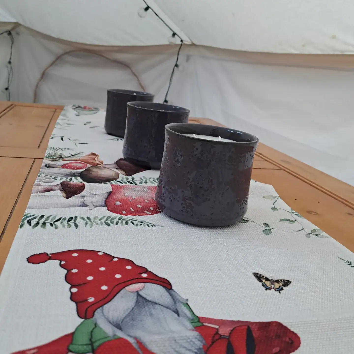 Camper-submitted photo at Roots and wings homestead near Barrington, NH