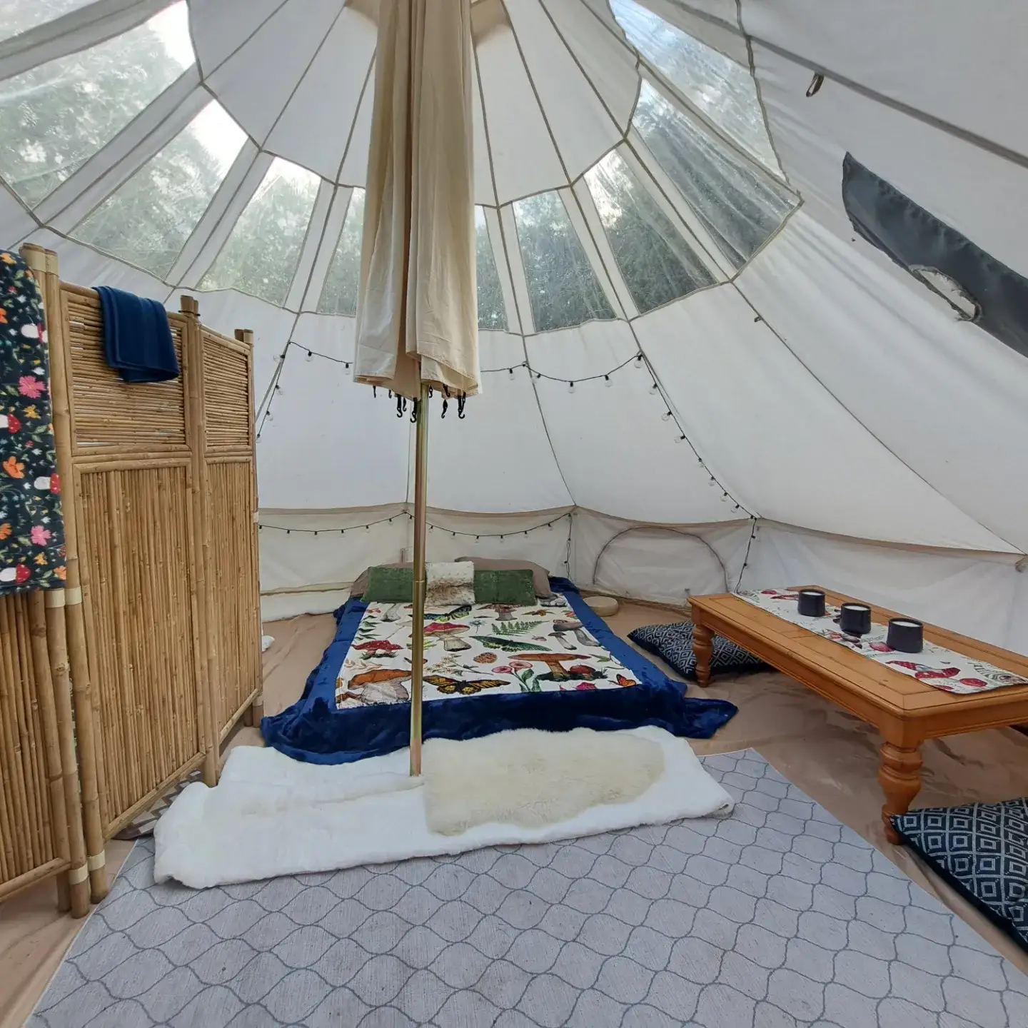 Camper-submitted photo at Roots and wings homestead near Barrington, NH