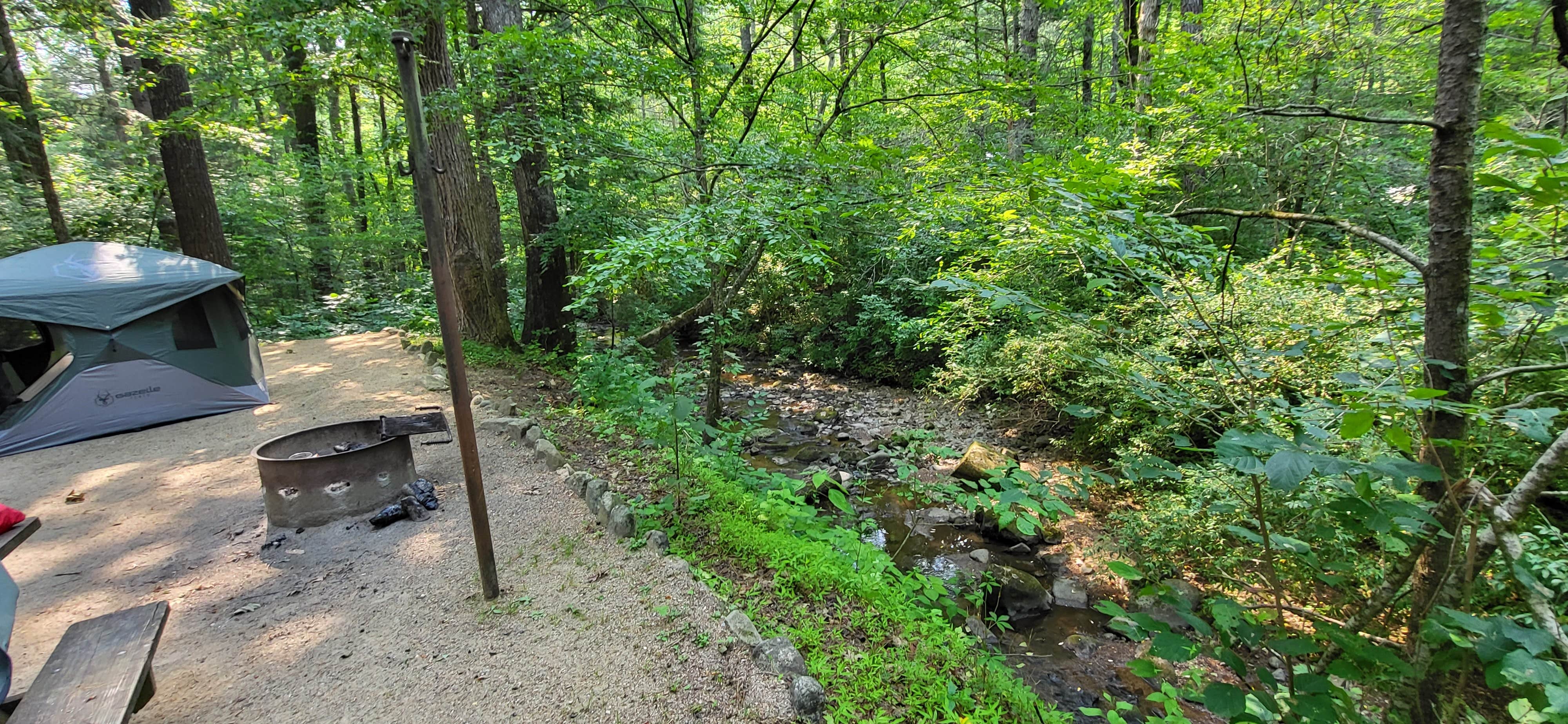 Camper-submitted photo at North Creek Campground near Natural Bridge, VA