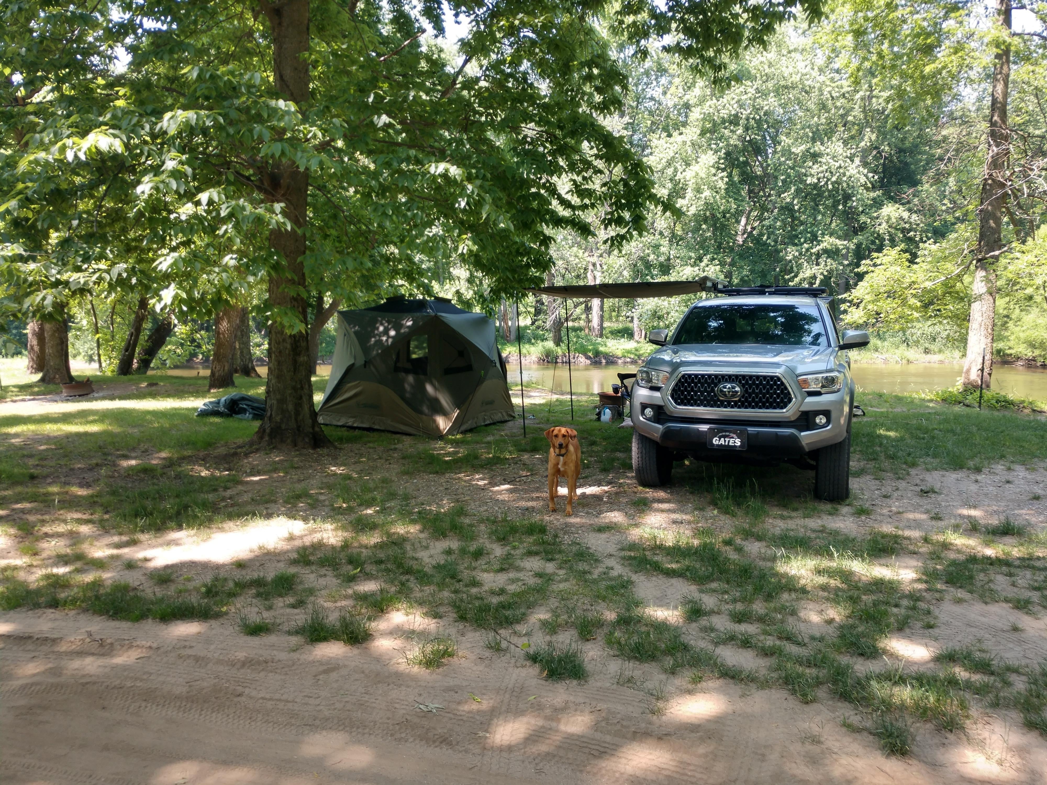 Camper submitted image from Rising Sun Campground - 2