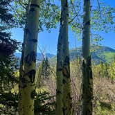 Review photo of Williams Creek by Blake L., June 22, 2023