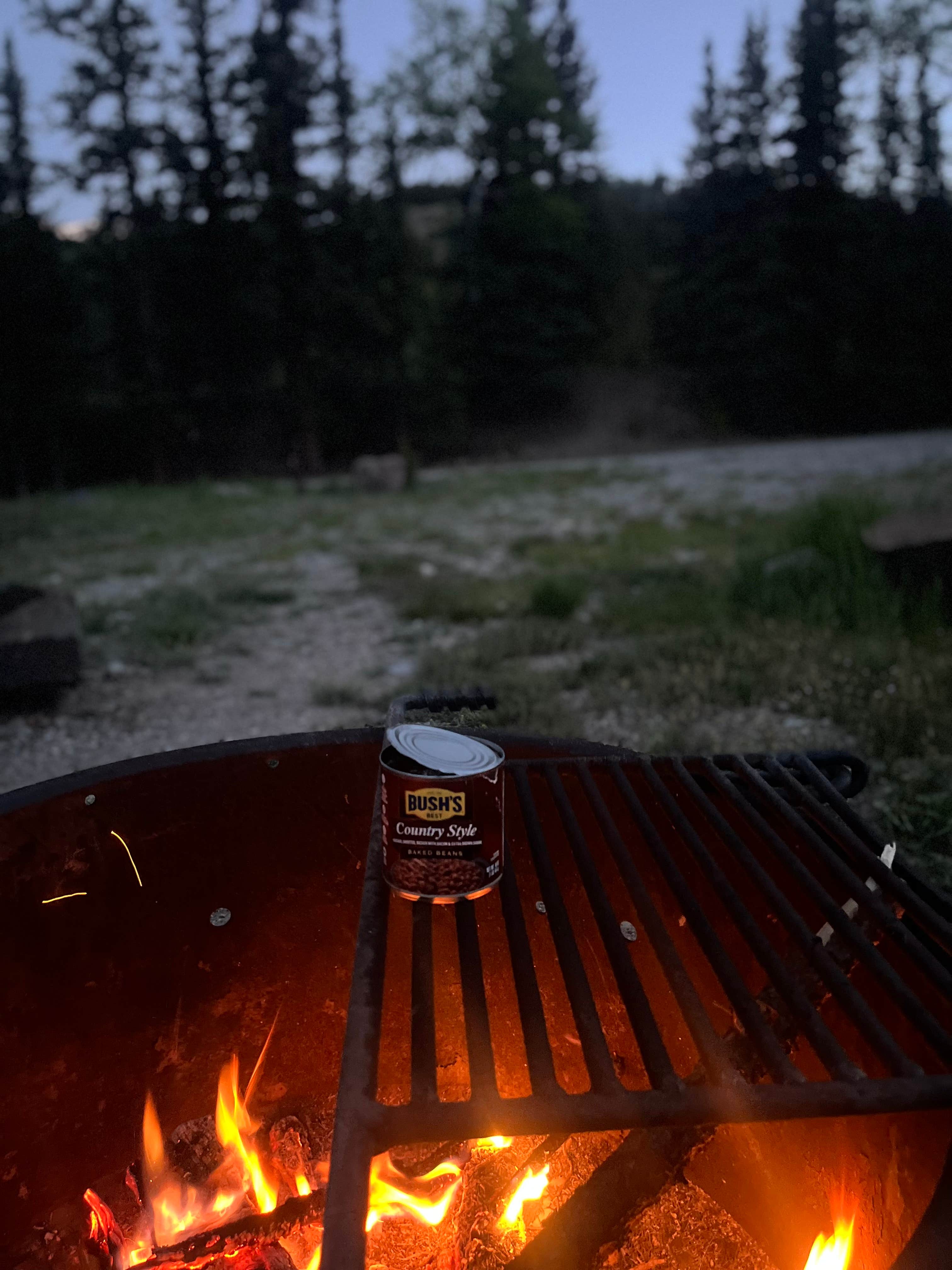 Camper submitted image from Williams Creek - 3