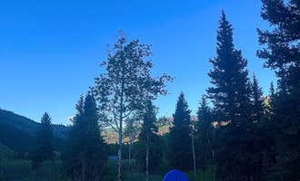 Camping near Slumgullion: Williams Creek, Lake City, Colorado