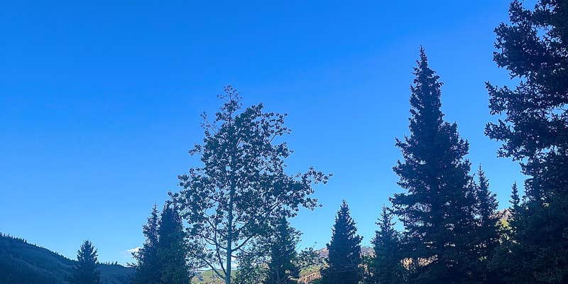 Camper submitted image from Williams Creek