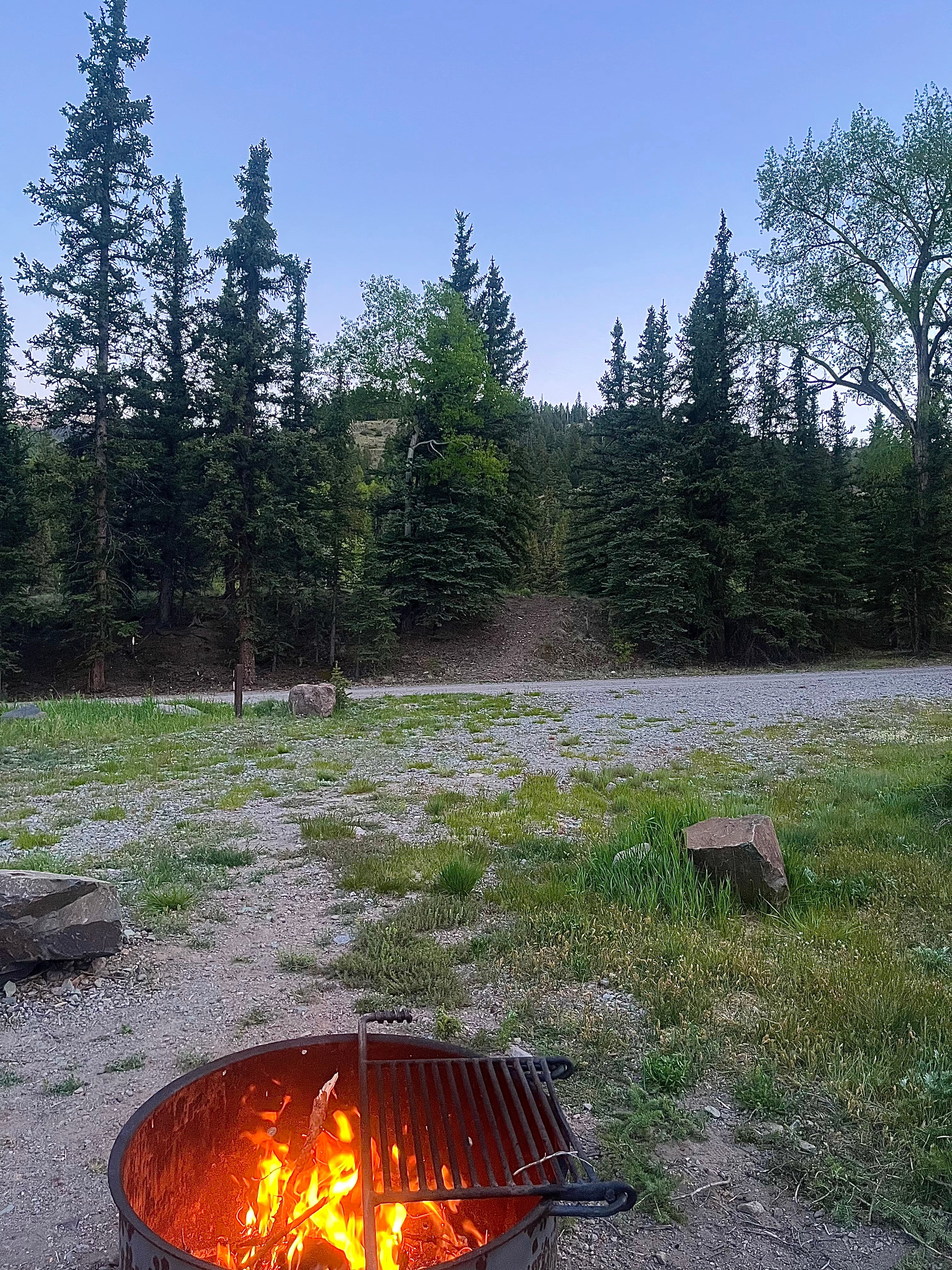 Camper submitted image from Williams Creek - 3