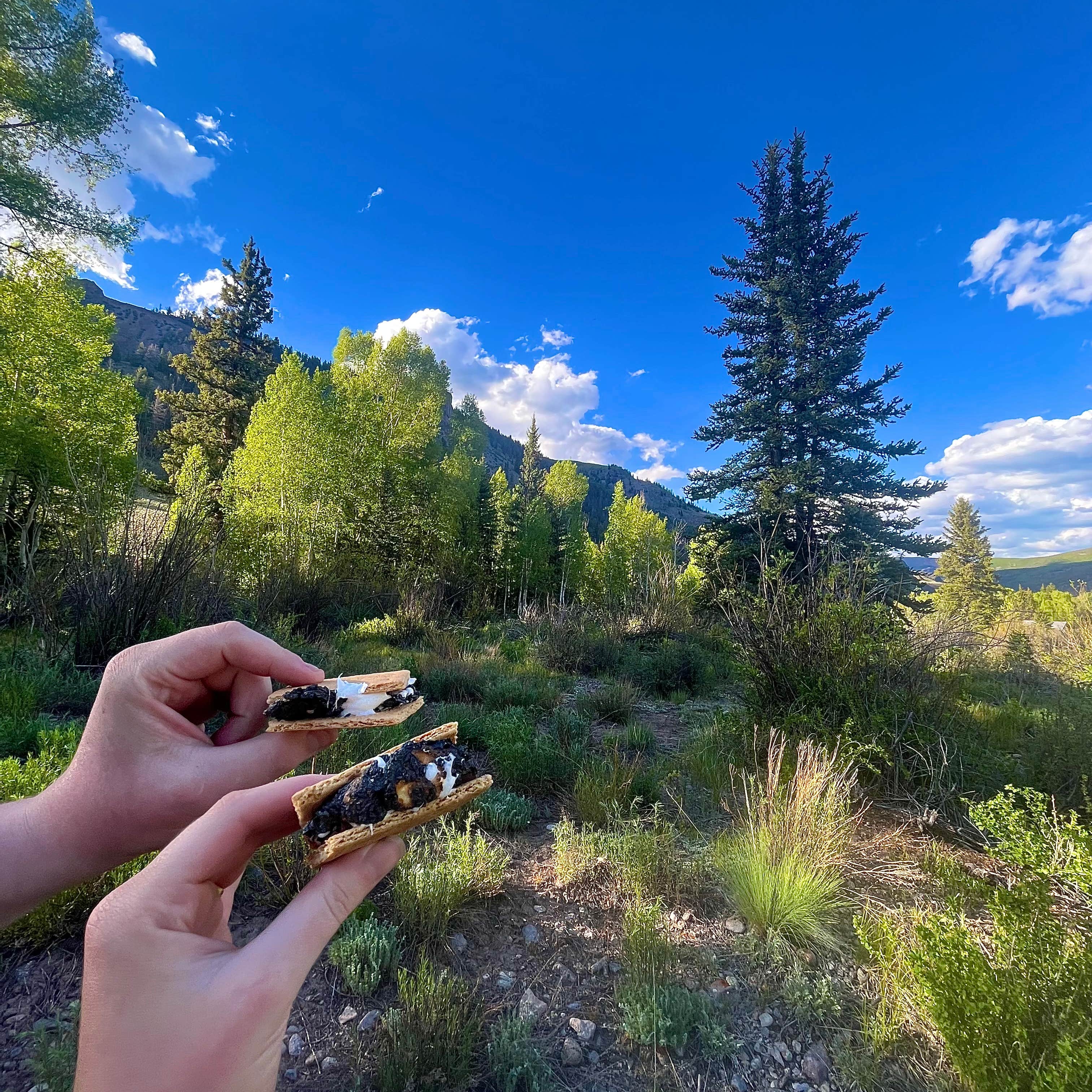 Escape To The Wild: Your Guide To Colorado’s Williams Creek Campground