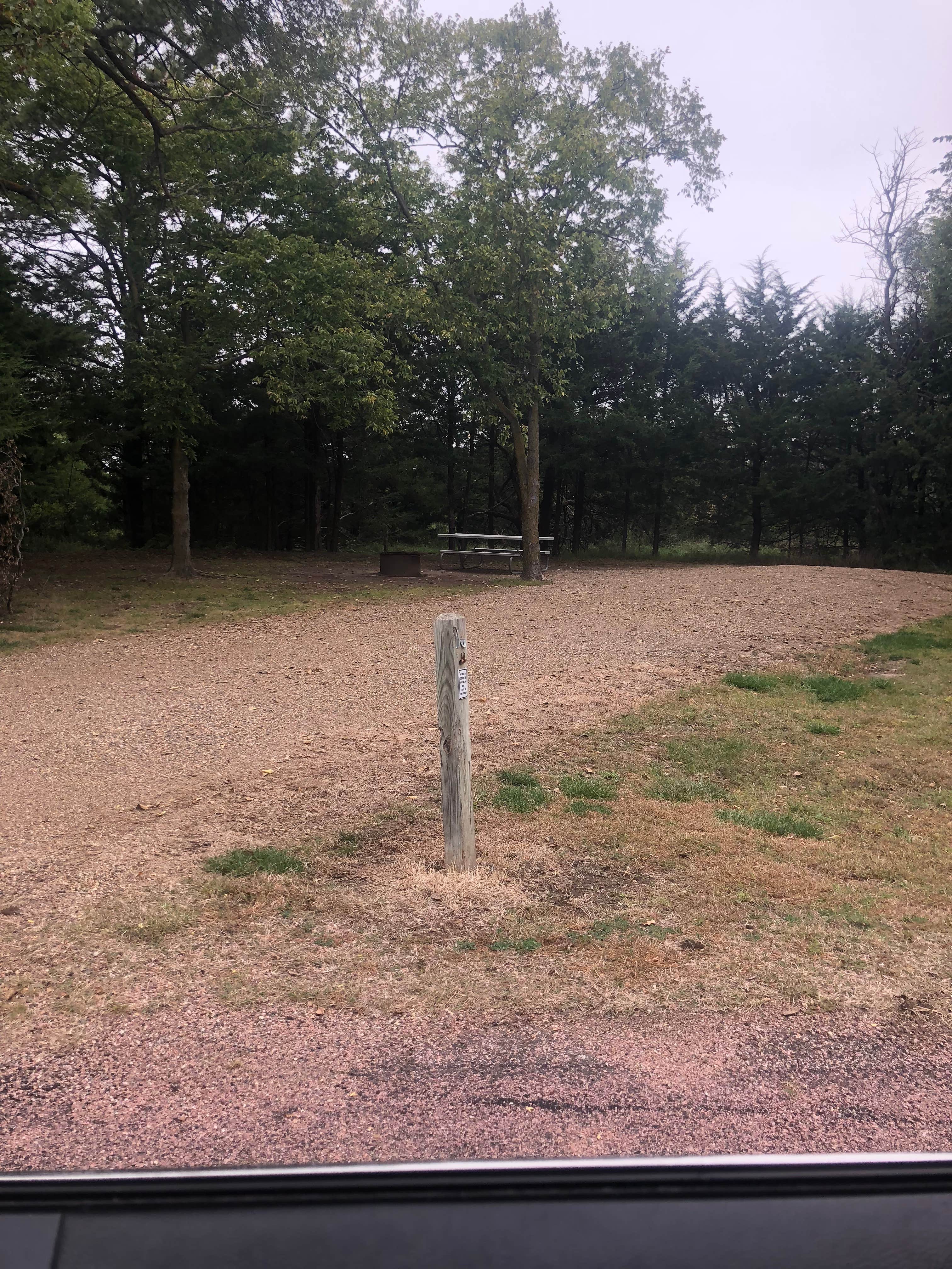 Camper submitted image from Pease Creek Recreation Area - 2