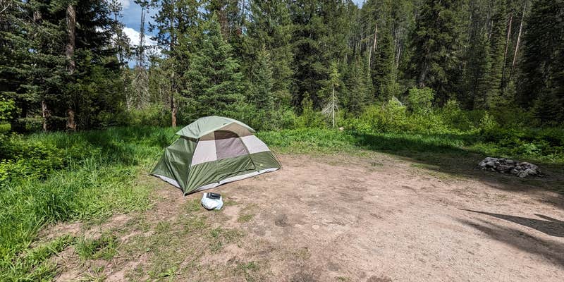 Camper submitted image from Mike Harris Creek Camp