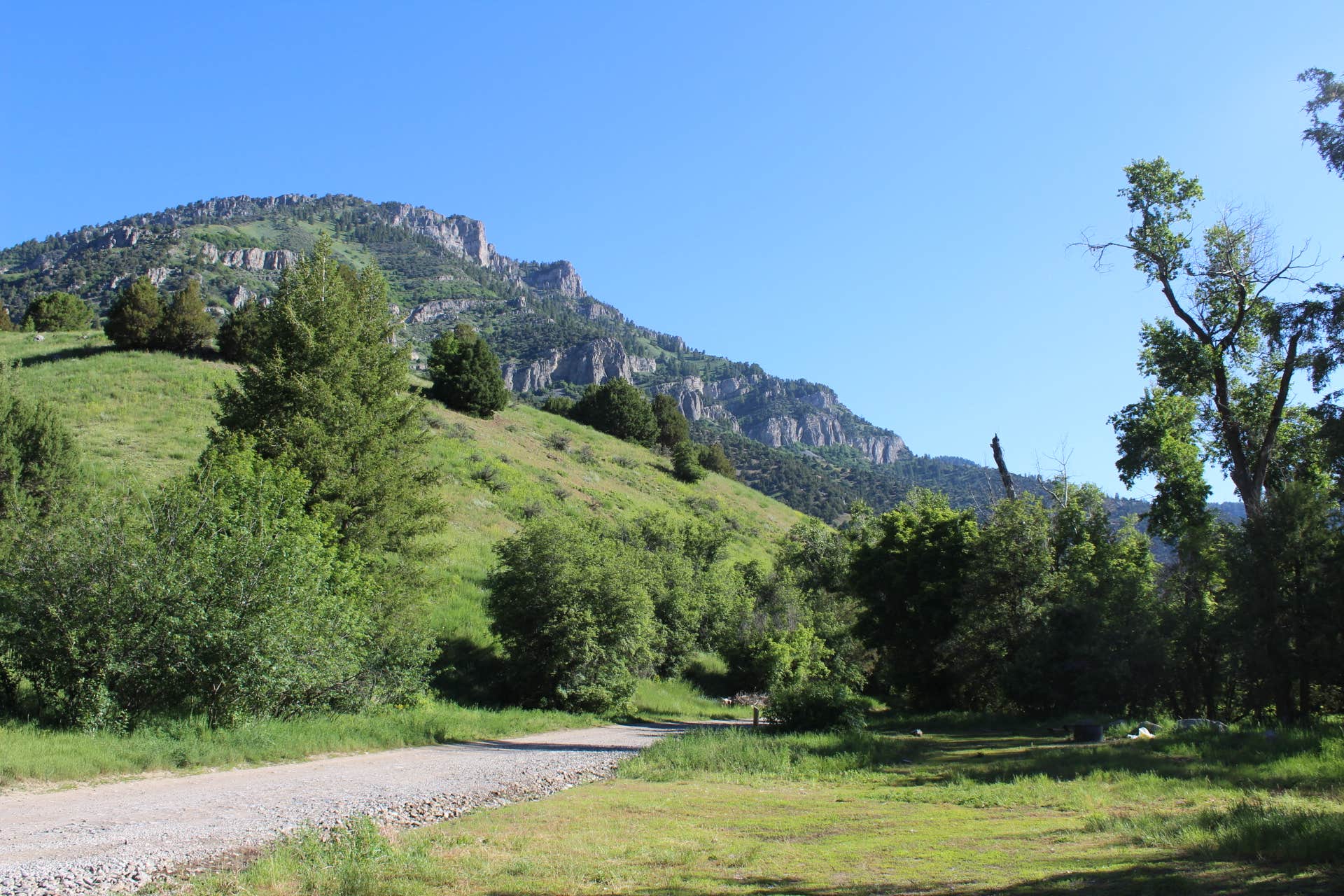 Camper-submitted photo at Left Hand Fork - Dispersed Site near Paradise, UT