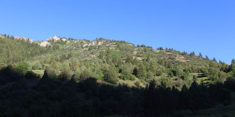 Camper submitted image from Left Hand Fork - Dispersed Site