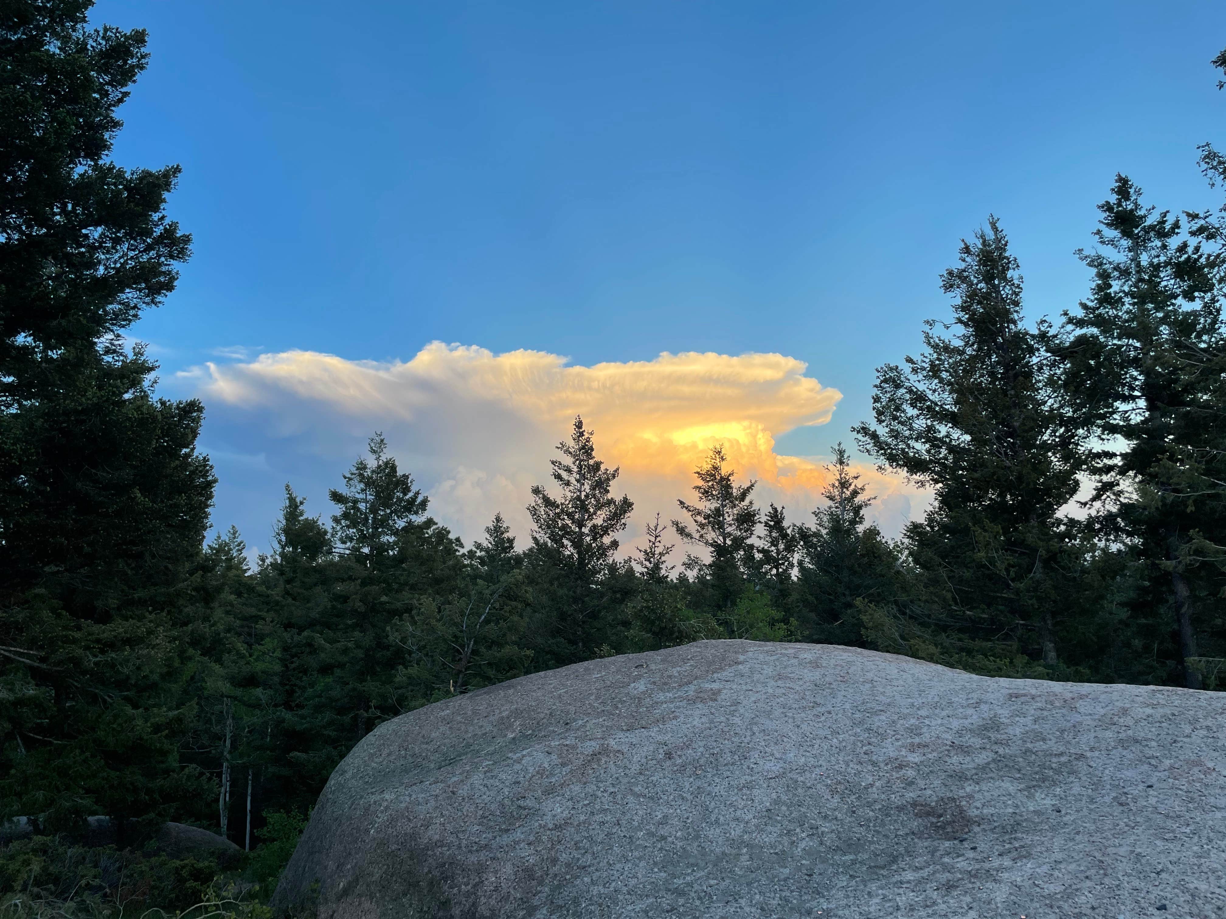 Camper submitted image from Ice Cave Rd Dispersed Site - Pike National Forest - 2