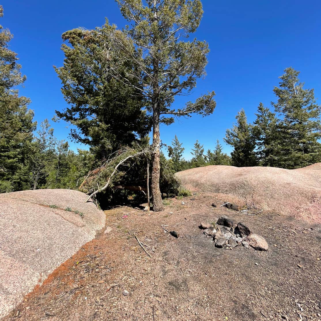 Ice Cave Rd Dispersed Site - Pike National Forest Camping | The Dyrt