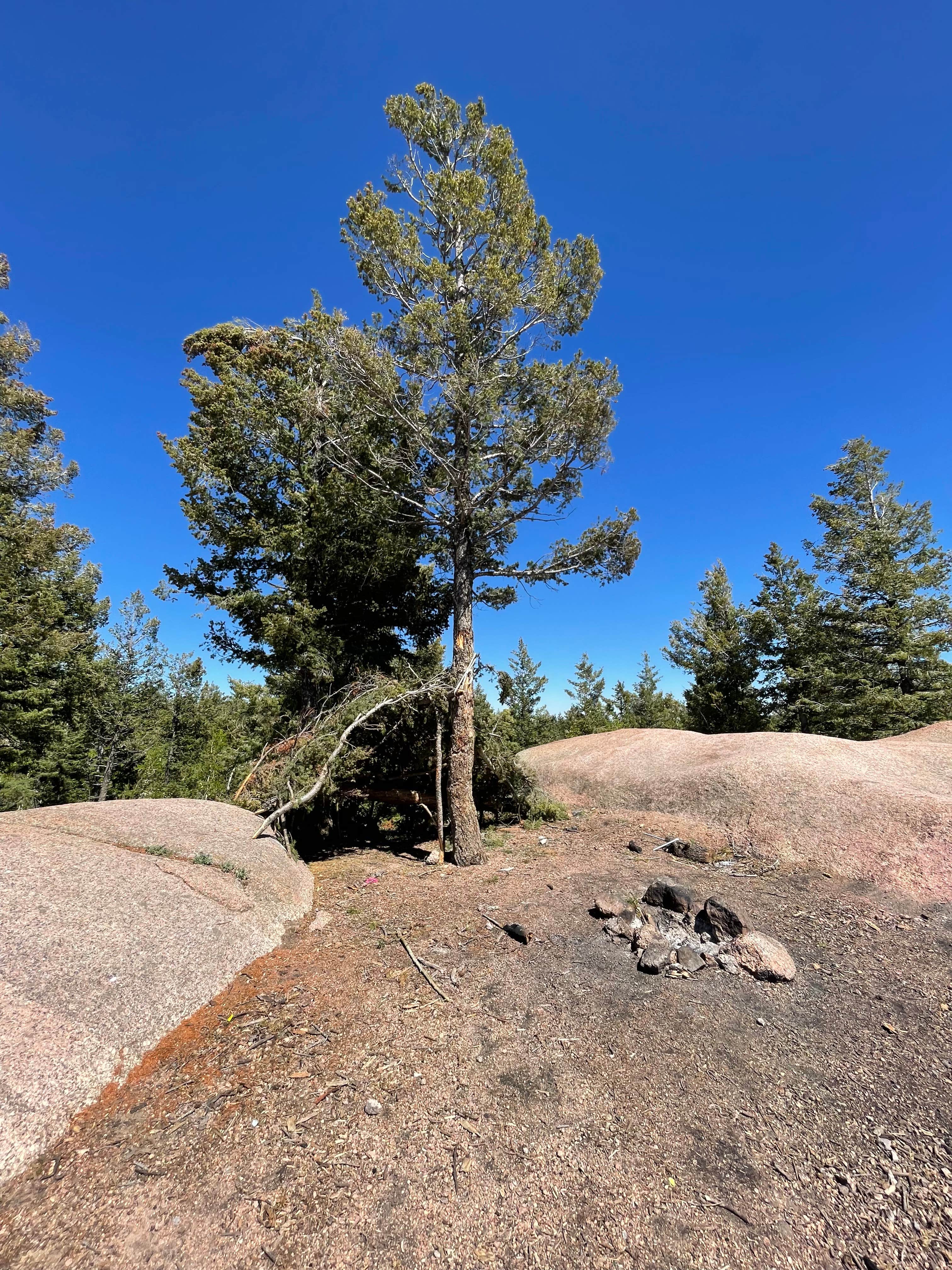 Camper submitted image from Ice Cave Rd Dispersed Site - Pike National Forest - 4