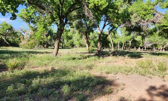 Camping near Monticello Road Dispersed Camping: San Antonio Riverine Park, Socorro, New Mexico
