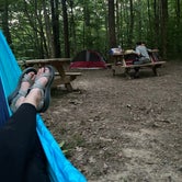 Review photo of Shades State Park Campground by Hannah , June 23, 2023