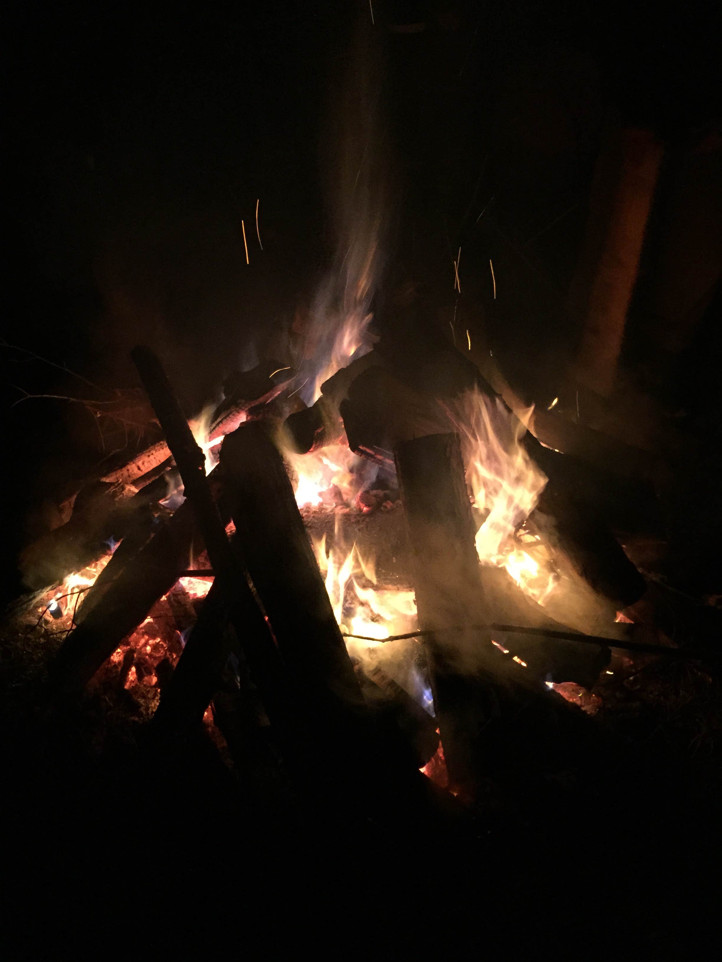 Sam M.'s photo at Pocahontas State Park Campground near Midlothian, VA