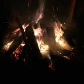 Review photo of Pocahontas State Park Campground by Sam M., October 18, 2018